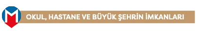 Heryereyakin